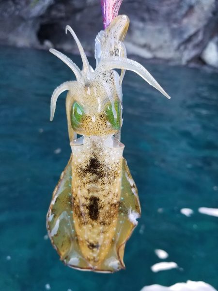 まだまだ・・。